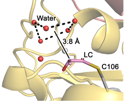 Stereo chemistry of DJ-1 Lactoyl-cysteine intermediate