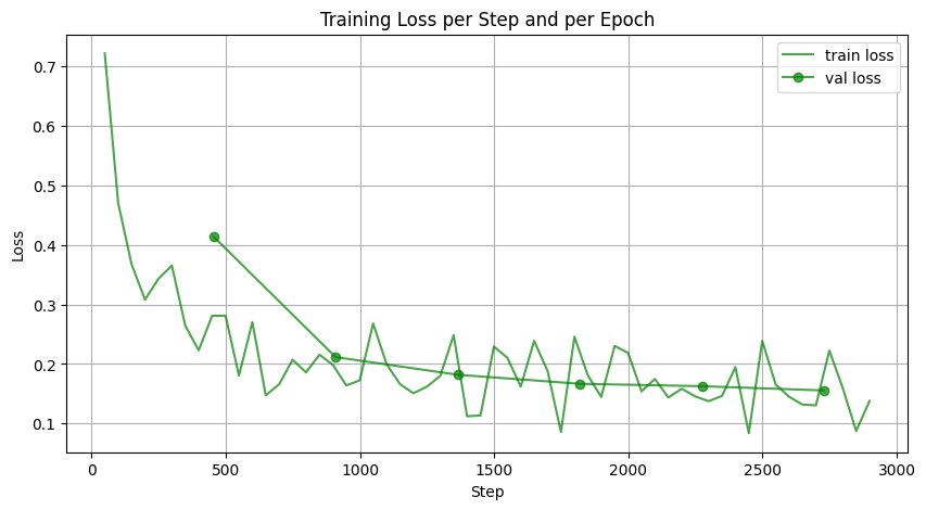 Training Curve Big Model