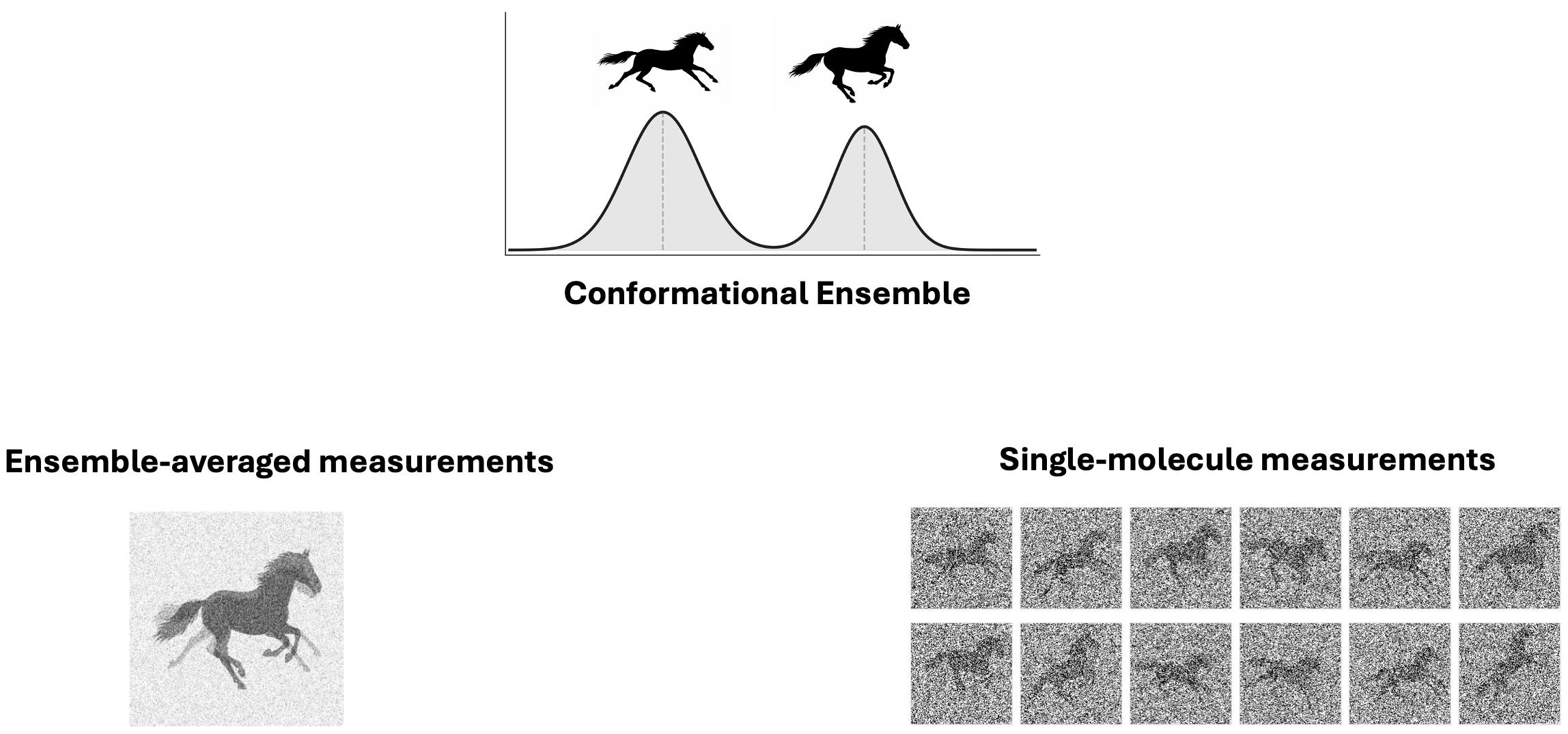 Two ways an experiment can encode a conformational ensemble